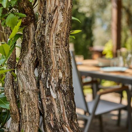 Villa Paier Relais & Pool Malcesine Exterior foto